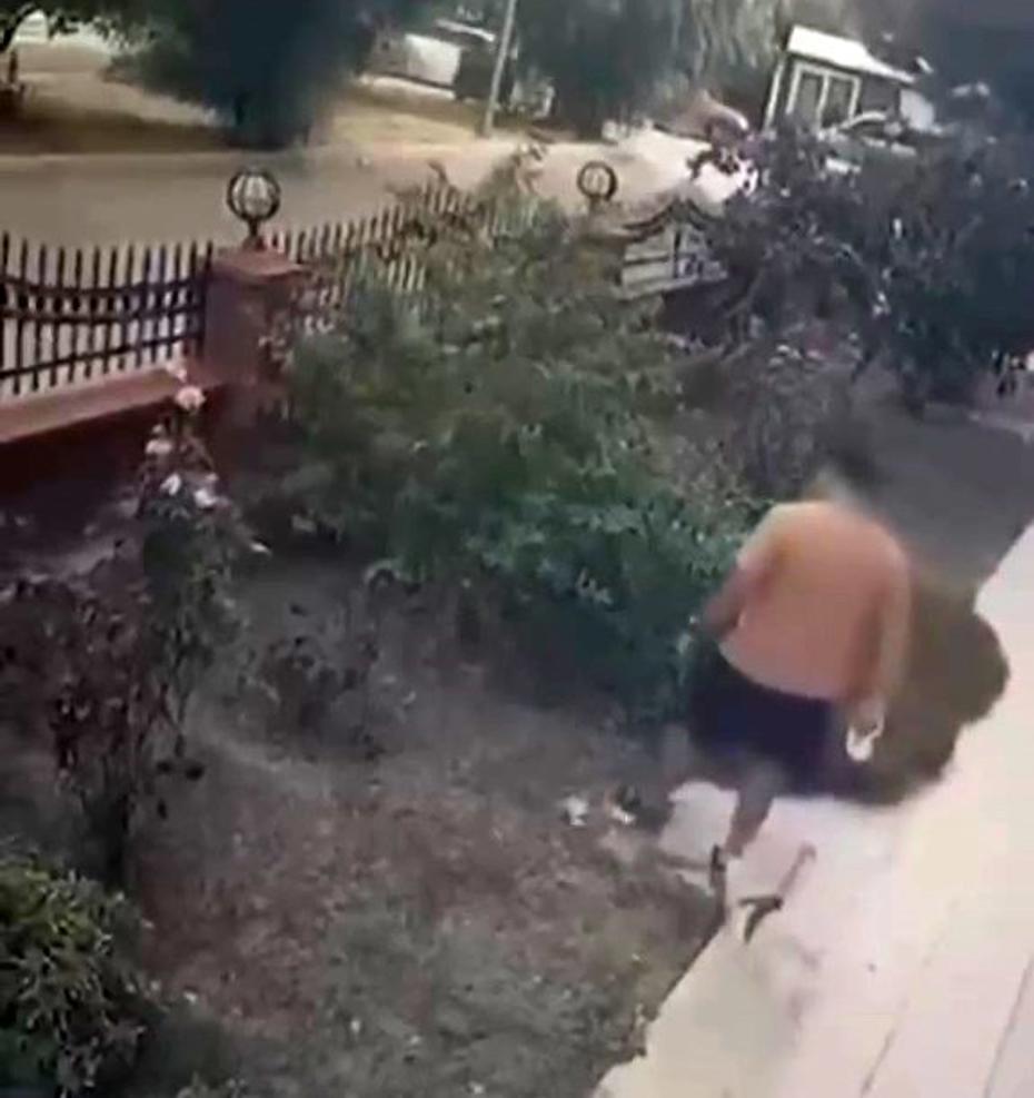 İzmir'de Yavrulu Kediyi Vuran Şüpheli Yakalandı ve Para Cezası Kesildi