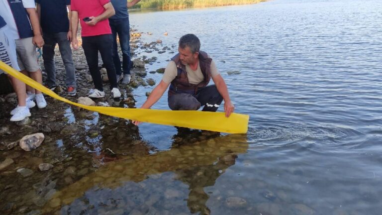 Bursa’da göl ve göletlere 3 milyon 350 bin yavru sazan bırakıldı