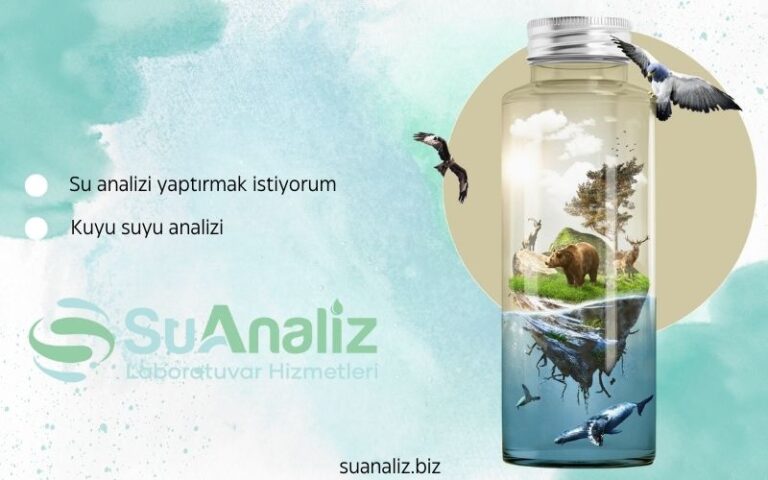 Kuyu Suyu Analiz Sonuçlarınızı Nasıl Yorumlamalısınız?